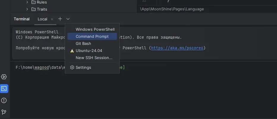 PhpStorm командная строка из вкладки Terminal